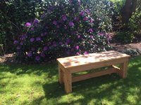 Tuinbankje zonder leuning douglas hout